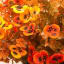 12 Bundles Artificial Flowers Outdoor Fake Fall Flowers for Outside Decoration UV Resistant Plastic Faux Plants for Garden Window Porch Balcony Fall Wedding Thanksgiving Decor(Mix) (Yellow&orange)