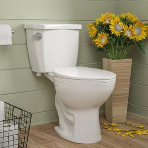 Two-Piece Toilet, DeerValley ADA American Standard Toilet 12" Rough in 11.28 GPF Power Flush Two-Piece Elongated Toilets for Bathrooms Comfort Height High White (Toilet Seat Included)
