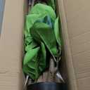 3.2ft Artificial Fiddle Leaf Fig Tree in Woven Basket - Real Wood Trunk, Preassembled, No Maintenance Indoor Faux Plant - Living Room, Home & Office Decor (Different Pot)