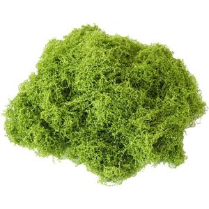 Green Fake Moss,Plastic Artificial Moss,Realistic Looking Faux,Preserved for Plants,Decor,for Fairy Garden Filler Table Wedding Christmas Crafts Party Artificial Plants (50g)