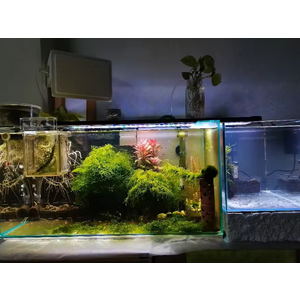 30cm 12inch Aquarium LED WRGB Marine Light Intelligent Touch Control Fish Tank Aquaculture Decoration Light With Bracket