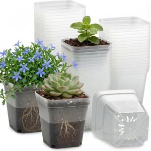 RooTrimmer 60 Pcs Clear Square Nursery Pots 4 Inch, Reusable Seedling Pots with Drainage Holes, Transparent Small Plant Potting Pot Containers for Seedlings Microgreens, Flowers, Indoor Gardening