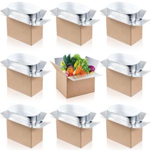 Nuanchu 10 Pieces Insulated Shipping Boxes, 9" x 5" x 6" Double Insulated with Aluminum Foil Liner Thermal Insulation Cold Reusable Mailing Box for Cold Food, Shipping, Mailing, Packing