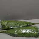FOREST PRINCE 35" Ferns Artificial Bush Plants Large, 2 Artificial Boston Ferns with 39 Fronds for Outdoors Home Decor