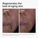 The Ordinary GF 15% Solution, Anti-Aging Formula for Visible Skin & Wrinkle Repair, 1 Fl Oz