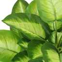 FLOWORLD Artificial Golden Dieffenbachia 4ft Tall Artificial Plants Indoor Decorative Silk Plants Potted Faux Tropical Tree Lifelike House Floor Large Fake Tree for Home Living Room