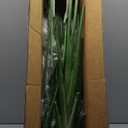 Artificial Bird of Paradise - Fake Plants Indoor Faux Tropical Palm Potted Dypsis Lutescens for Home Office Decor Housewarming