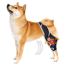 Dog Knee Brace for Acl Injury Recovery, Adjustable, Provides Stable Support for Ligament Strain and Joint Pain, Fits Front or Rear Leg, Ideal for Rehab and Everyday Use, Durable, Comfortable, M