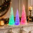 MOMENTS IN TIME Acrylic Tree Set 3 Pack Color Changing Tabletop Holiday Decoration LED Lighted Battery Operated Timer Function Holiday Home Decor Holiday Present