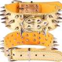 Spiked Dog Collar  2 Inch Wide Leather Dog Collar with Spikes for Medium Large Dogs, Punk Style Croc Pattern Protective Collar for Pitbull Mastiff Rottweiler (Gold, XXL (20.47  23.62 in))