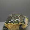 Wearable Turtle Shell Pillows Tortoise Plush Pillow Creative Turtle Shell Stuffed Animal Costume Plush Toy Funny Dress Up Creative Gifts for Boys and Girls (40IN)