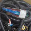 Wiring Harness 4L60E DBW PCM Compatible with GM Gen III LS 1997-2004 Based Engines 4L60E 4L70E 4L75E LS Swap Engine Harness Stand Alone Wire Harness Drive by Wire Throttle Body