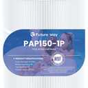 Future Way CC150 Pool Filter Cartridge Replacement for Pentair Clean & Clear 150, Replace Pleatco PAP150, Pentair R173216, Unicel C-9415, 150 sq.ft