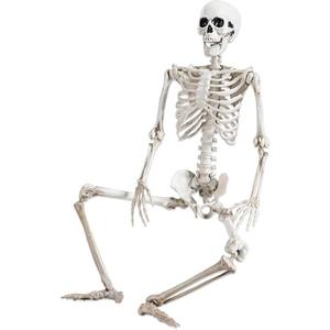 NEROSUN 5.4FT Halloween Skeletons Decoration, Posable Life Full Size Skeleton with Dog Skeleton, Realistic Plastic Human Bones for Halloween Props Haunted House Graveyard Party Decor