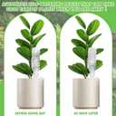 EBOOT 4pcs Large Self-Watering Spikes 6 Inch Plant Automatic Watering System Vacation Plant Irrigation Devices Automatic Irrigation Spikes for Indoor Outdoor Plants Home Office Balcony Planters