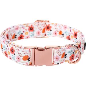 Lionet Paws Dog Collar, Adjustable Cute Collar with Metal Buckle for Male Female Puppies,Summer Flower, Large, Neck 16-24 inches