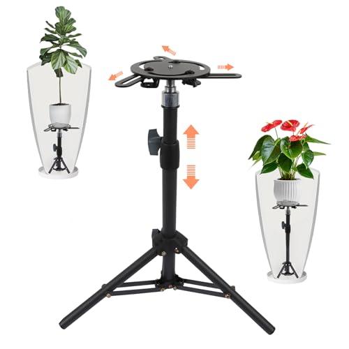 Viuaejoo Plant Risers for Inside Pots - Height Adjustable Planter Insert, New Upgrade Plant Risers for Pots Outdoor Indoor, Metal Planter Insert for Tall and Large Pot, 14-22" Rise & 4-12" Top 2 Pack Viuaejoo Plant Risers for Inside Pots - Height Adjustable Planter Insert, New Upgrade Plant Risers for Pots Outdoor Indoor, Metal Planter Insert for Tall and Large Pot, 14-22" Rise & 4-12" Top 2 Pack