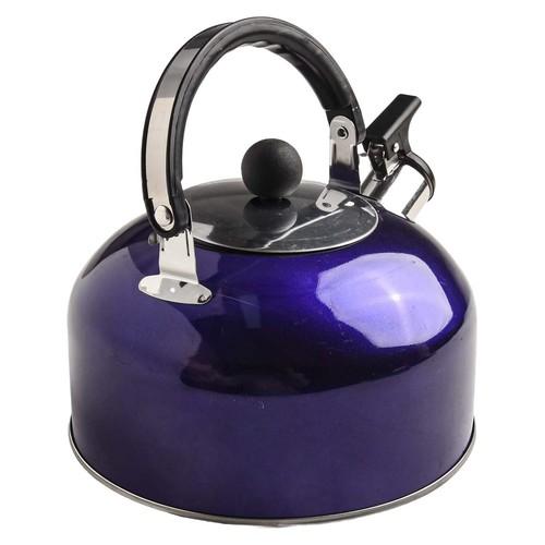2L Stainless Steel Kettle with Heat Resistant Handle and Whistling Feature