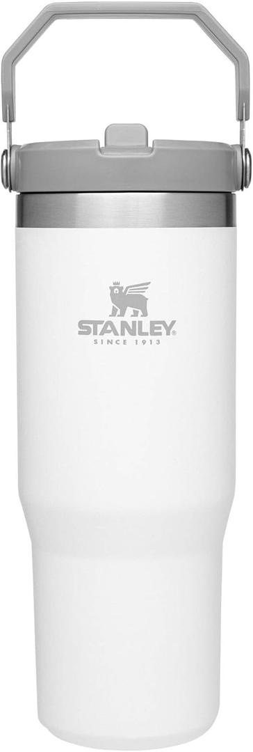 Stanley IceFlow Flip Straw Tumbler with Handle 30 oz | Twist On Lid and Flip Up Straw | Leak Resistant Water Bottle | Insulated Stainless Steel |BPA-Free | Polar