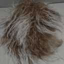 karlery Men and Women Long Curly Brown Gradient White Wig 70s 80s Rocker Mullet Party Funny Wig Costume Wig