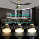 Roomratv Ceiling Fans with Lights and Remote Control,Quiet Noiseless Reversible DC Motor,6 Speeds,Timers, 3 CCT, Indoor Use, Plastic Blades,52 Inch Black and Gold Modern Ceiling Fan for Living Room
