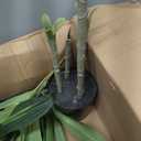 Dracaena Artificial Plant Indoor 4FT - Tall Faux Floor Plant in Pot - Large Tropical Fake Tree with Lifelike Leaves - Artificial Dracaena Tree for Home Office Living Room Decor