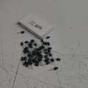 Mudder 50 Pcs Replacement Mini Light Bulbs Christmas Tree 2.5 V Incandescent Glass String Light Bulbs with Base Indoor Outdoor Xmas Decoration, 0.17 Ampere, 0.425 Watt (Clear,Green)