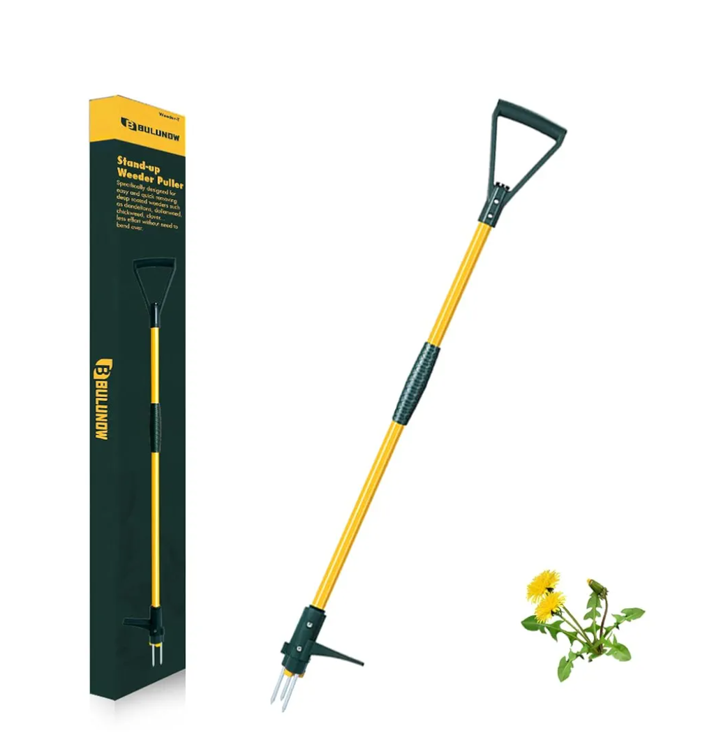 Weed Puller Tool, 50IN Long Handle 3 Claws Stand Up Weeder, Extra Thickened Stainless Steel Shaft Garden Weeding Tool,Remove the Roots of Thistles, Crabgrass, Dandelions, and Blackberries, etc.