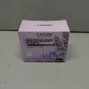 2 Pack Artificial Succulent Plants with Subtle Lavender, Faux Indoor Plants for Home Decor, Small Fake Plant for Bathroom, Bedroom, Office Decor, Aesthetic Room Accessories, Housewarming Gift