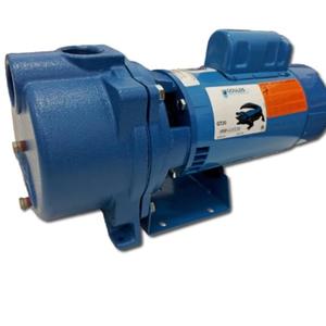 GOULDS Pumps GT20 IRRI-Gator Self-Priming Single Phase Centrifugal Pump, 2 hp, Blue