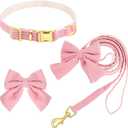 Velvet Dog Collar and Leash Set with Bowtie, Adjustable Velvet Dog Collar with Metal Buckle, Cute Girl Dogs Collars, 9-13for Small Medium Puppy Dogs with 5 FT Leash (Pink, S)