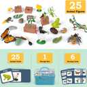 Life Cycle Learning Toys for Kids: Life Science Education Kits with Butterfly, Frog, Chicken, Mantis, Bee, Plants - 25 Pieces Animal Figurines Montessori Toys for Children Age 3 4 5 6 7 8+
