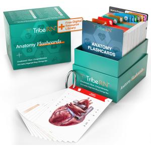 TribeRN Anatomy and Physiology Flash Cards 320 Study Resources for Students Human Anatomy & Physiology Study Tools Medical, Nursing School Essentials Durable & Easy to Use Flashcards