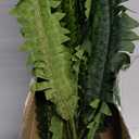 Fake Ferns - Set of 2 Artificial Fern,35 Leaves for Each Bouquet - Indoor/Outdoor Faux Boston Fake Fern Bush Plant for Home, Office, Garden Decoration.33Inch (33inch Large)