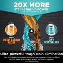Shark StainStriker Portable Carpet, Upholstery & Area Rug Cleaner, XL Tool & Self-Cleaning, Stain & Odor Remover, Perfect for Car Interior with 3 Cleaning Tools & Solution, PX225BRN, Royal Purple