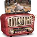 PRUNUS J-180 Vintage Retro Radio Bluetooth Speaker with Stereo Sound, AM FM Radio Portable with Loud Volume, BT5.0, TF Card & MP3 Player, Rechargeable Speaker