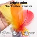 THARAHT 360pcs Colorful White Goose Feathers 3-5 inch Bulk for Crafting Dream Catcher Accessories Art Projects DIY Handmade Wedding Home Party Decorations Natural Feather