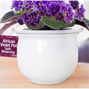 African Violet Pots Self Watering  6.5W x 4.6H Ceramic Self Watering Pots for Indoor Plants with Glazed White Outer Pot & Absorbent Inner Pot for Easy Plant Care