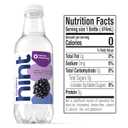 Hint Fruit-Infused Bottled Water, Blackberry - Sugar Free Flavored Water with Zero Calories, Natural Fruit Essences, and No Artificial Sweeteners - 16 Fl Oz (Pack of 12)