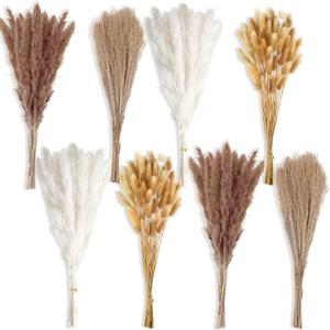 200 PCS Small Boho Pampas Grass, 17" Naturally Dried Pompas, Pampas Grass Decor for Wedding , Boho Party Decorations, Table DecorBrown and White
