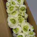 Giegxin 48 Pcs Ranunculus Artificial Flower, Real Touch Peonies Artificial Flower Silk Faux DIY Bouquet for Wedding Bridal Shower Valentine Centerpieces Arrangements Home Decorations(White, Green)