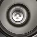 Ello Oasis 30oz Stainless Steel Water Bottle - Main Squeeze