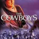 The Cowboys, DVD
