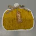 HH 6.6in Table Decor Pumpkin Sweatr