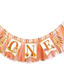 One Birthday High Chair Banner, Mushroom Highchair Banner, Tassel First Birthday Decoration, Mushroom One Garland Party Supplies