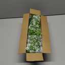 RECUTMS 2Pcs Artificial Hanging Flowers for Outdoor Decoration Fake Hanging Plants Faux White Flowers Artificial UV Resistant Plastic Greenery Vines Ivy for Outdoor Indoor Garden Party DecorWhite