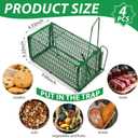 Qualirey 4 Pcs Humane Rat Trap Chipmunk Squirrel Cage Trap 4.33 x 4.33 x 9.06 Inches Foldable Rodent for Small Live Animal Voles Hamsters Catch and Release for Kitchen Yard Garage (Green)
