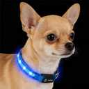 LED Dog Collar for Small Dogs & Toy Breeds USB-C Rechargeable Light Up Dog Collar, Fully Waterproof Adjustable Glow Collar for Night Walking & Safety, Blue, Small (Width:0.6", Length:10" - 14.5")