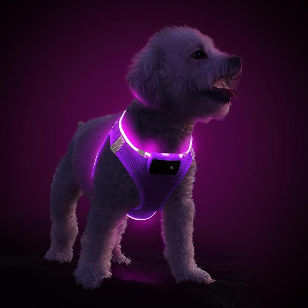 PceoTllar Light Up Dog Harness, LED No Pull Reflective Dog Harness, Flashing Lighted for Night Walking - (Purple,XS)