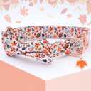 Faygarsle Bow Tie Halloween Fall Dog Collar for Small Medium Large Dogs Fashionable Cute Collars for Male Female Dog Cotton Collar with Metal Buckle Leaves Pumpkin Pattern M (Beige)